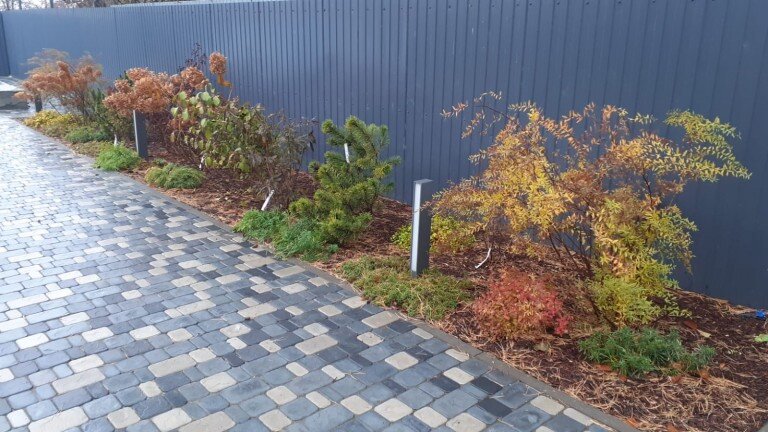 Миксбордер краски ноября.