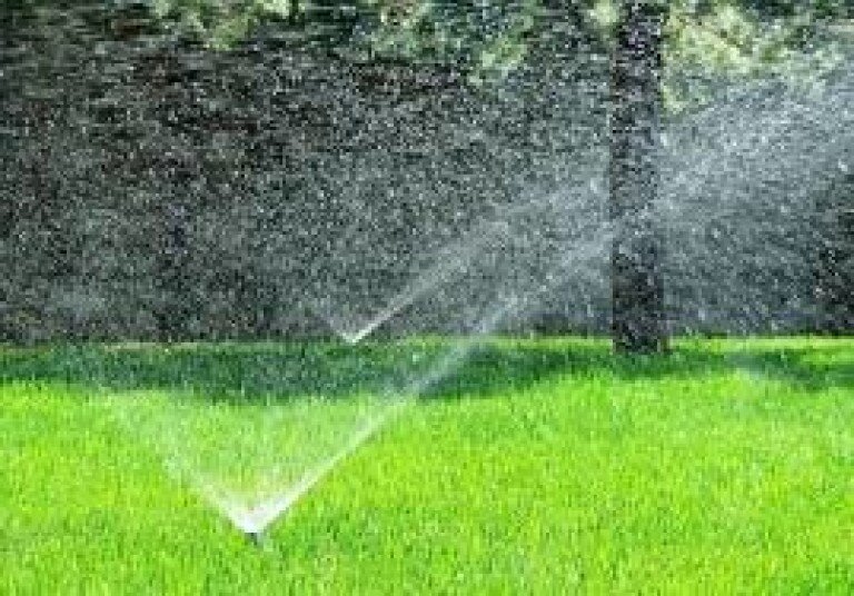 Рулонный газон-изумрудная лужайка.
