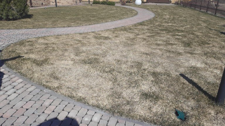 Весеннее вычесывание газона