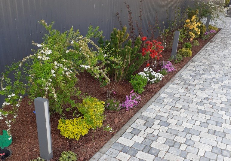 Миксбордер для  вытянутого участка.