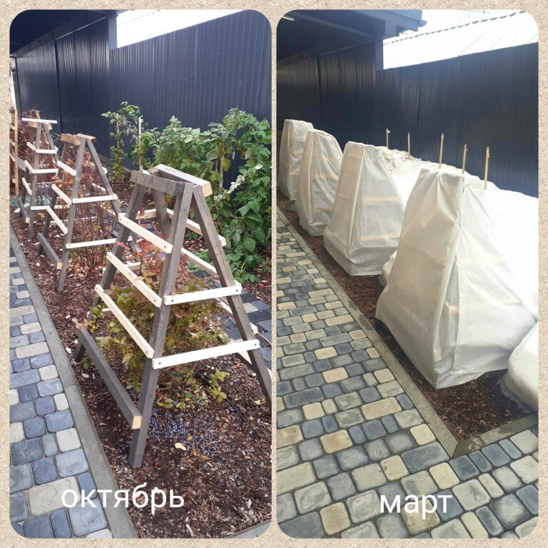 Каркас зимнего укрытия для голубики