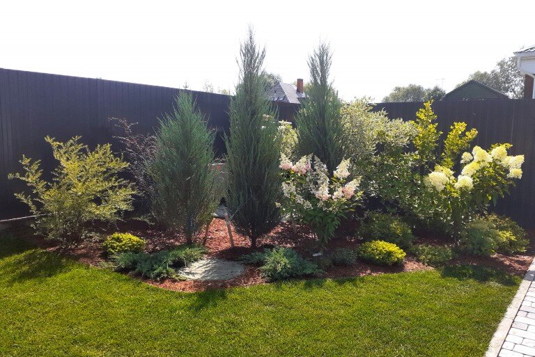 Озеленение (посадка деревьев и кустарников)