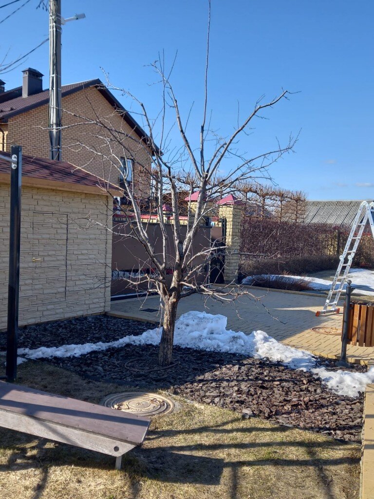 По итогу  на весну 2024 г.