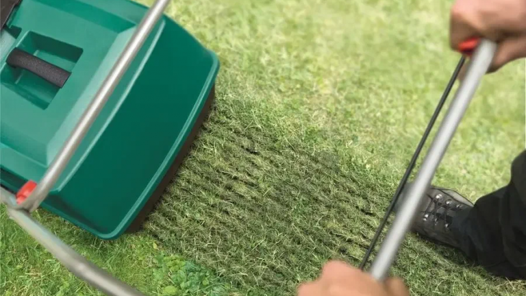 Скарификация газона 