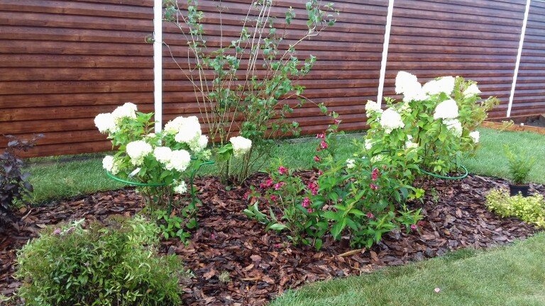 Устройство миксбордера.