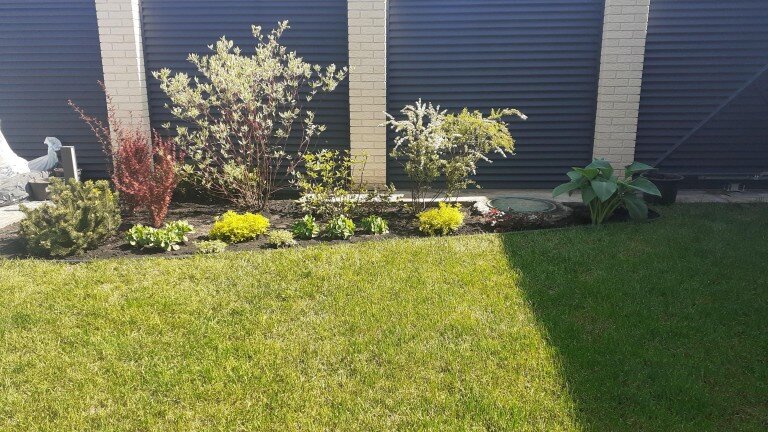 Для декорирования зоны входной группы высажены дерен элегантиссимо, барбарис, спирея серая, гортензия, спиреи голд флейм.