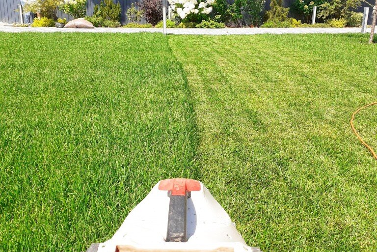 Уход за газоном