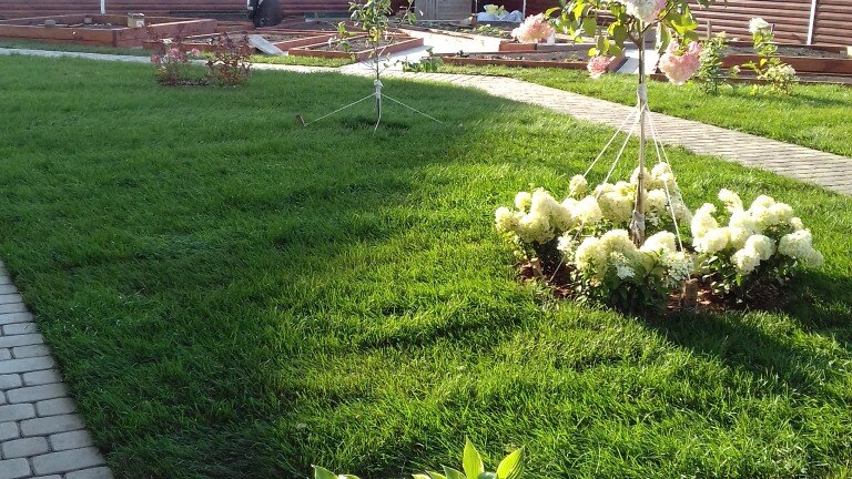 Благоустройство участка (огород и зона отдыха)