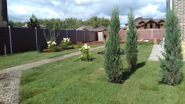 Закончили работы по укладке газона.