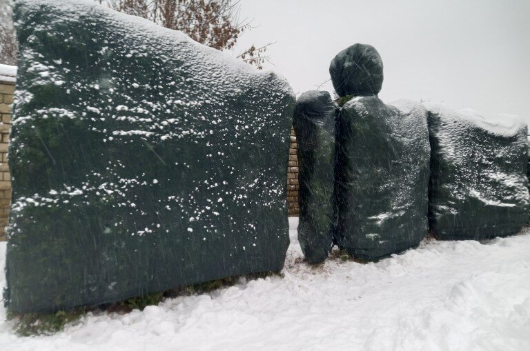 Подготовка сада к зиме