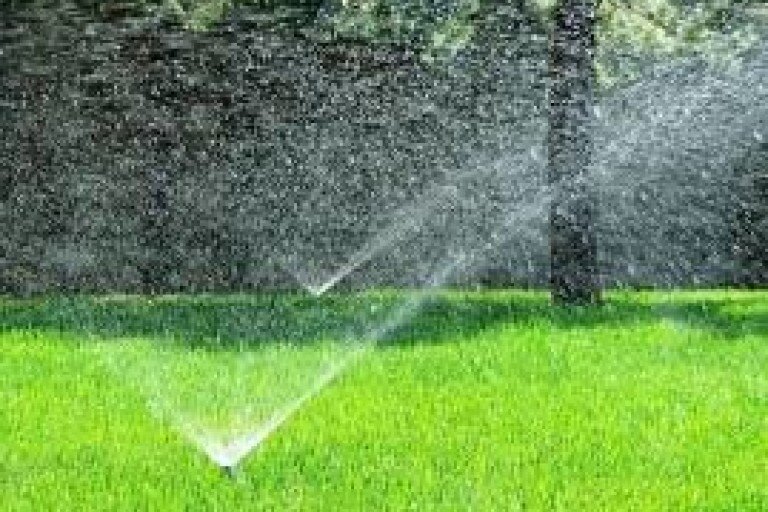 Покрытие из рулонного газона поддерживает комфортную температуру и влажность воздуха  на участке