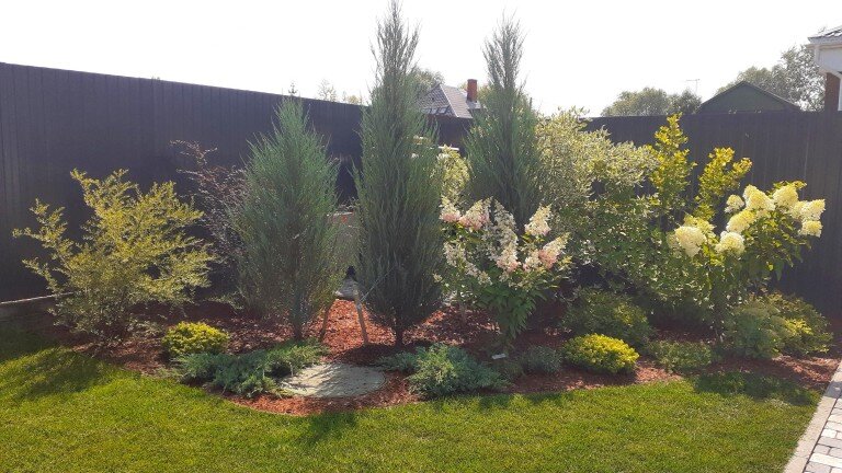 Для закрытия технической зоны высажены скальные и горизонтальные можжевельники, гортензии, дерен, пузыреплодник, спиреи, барбарисы.