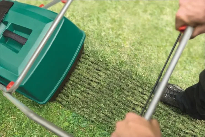 Скарификация газона